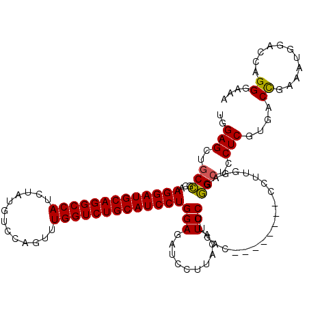 secondary structure