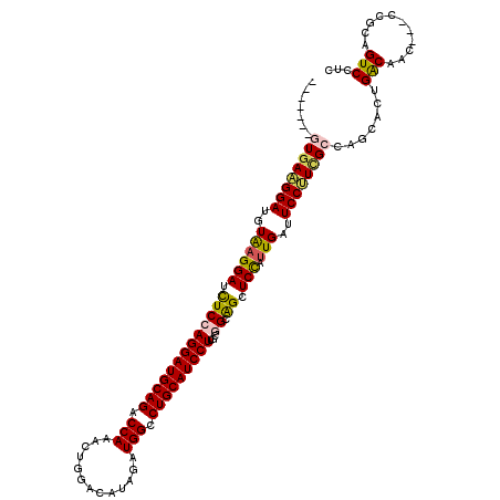 secondary structure