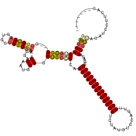 secondary structure