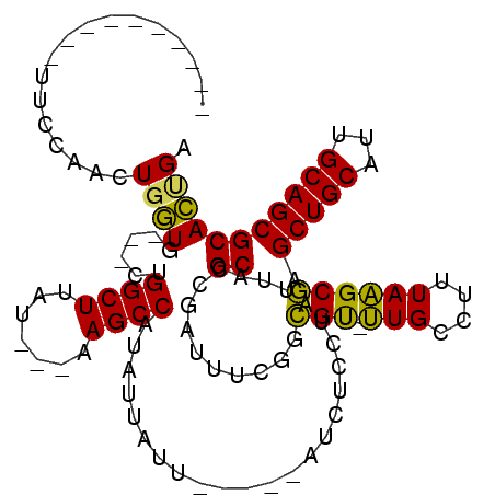 secondary structure
