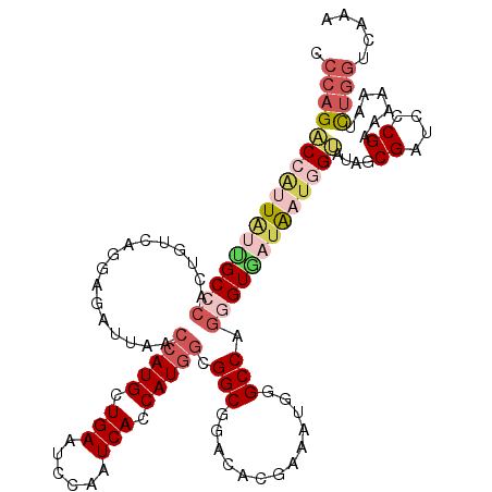 secondary structure