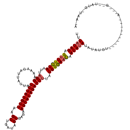 secondary structure