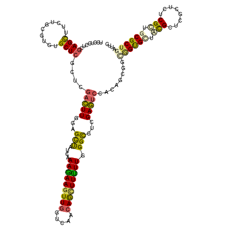 secondary structure
