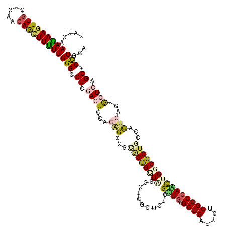 secondary structure