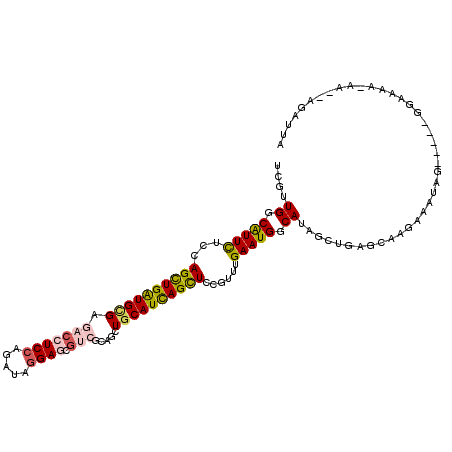 secondary structure