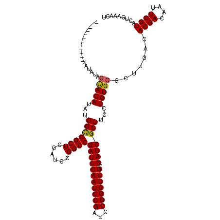 secondary structure