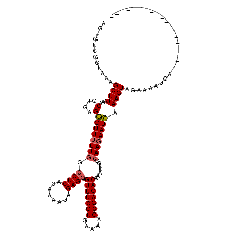 secondary structure