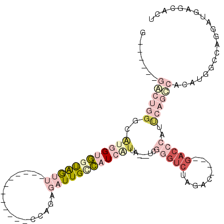 secondary structure