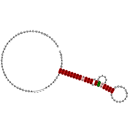 secondary structure