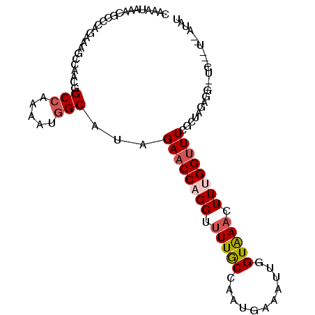 secondary structure