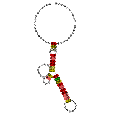 secondary structure