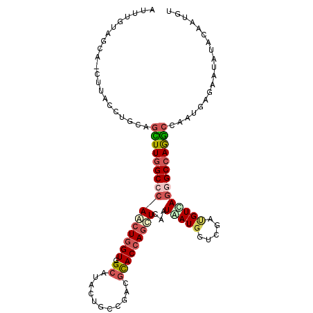secondary structure