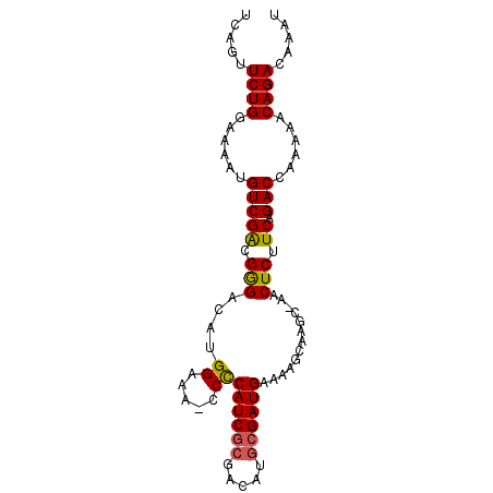 secondary structure