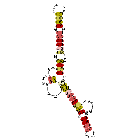 secondary structure