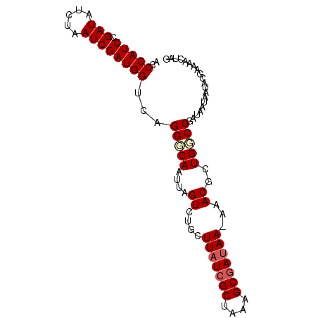 secondary structure