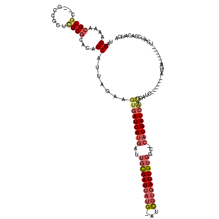 secondary structure