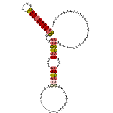 secondary structure