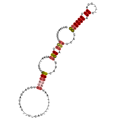secondary structure