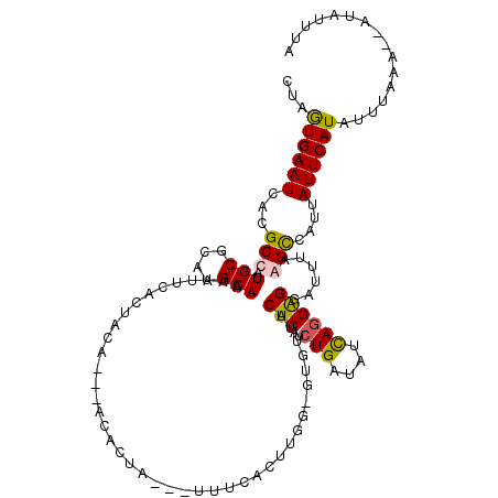 secondary structure