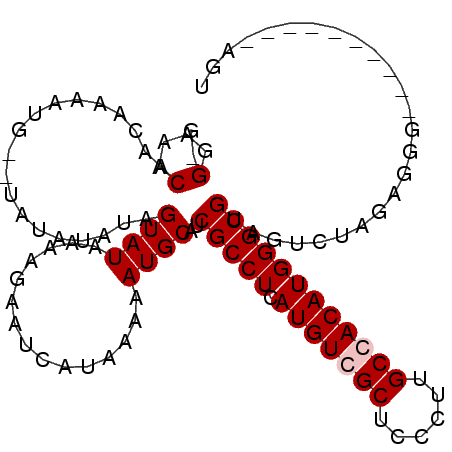 secondary structure