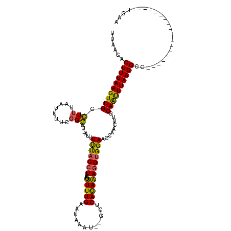secondary structure