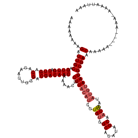 secondary structure