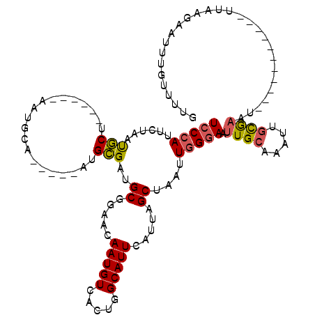 secondary structure