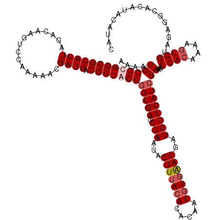 secondary structure