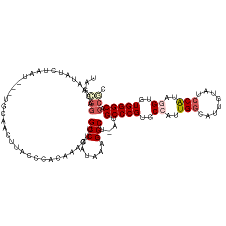 secondary structure