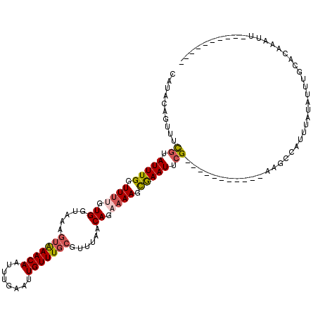 secondary structure