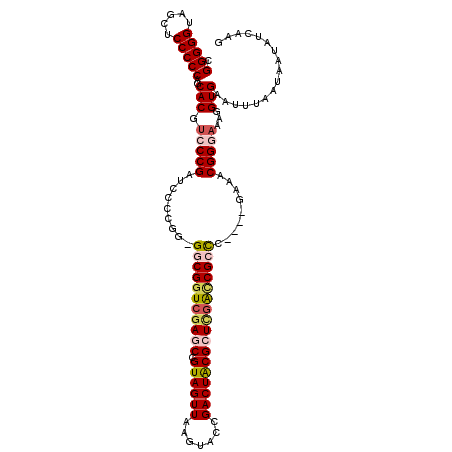 secondary structure