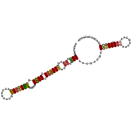 secondary structure