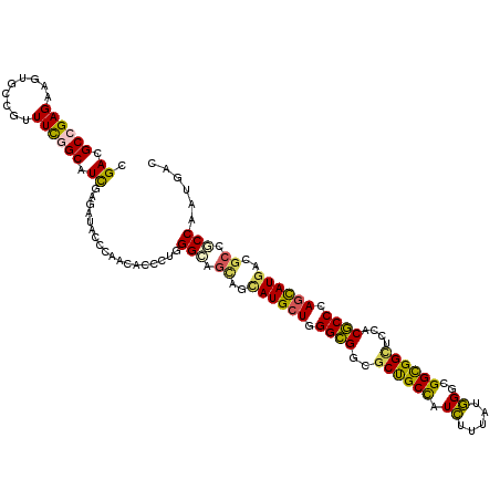 secondary structure