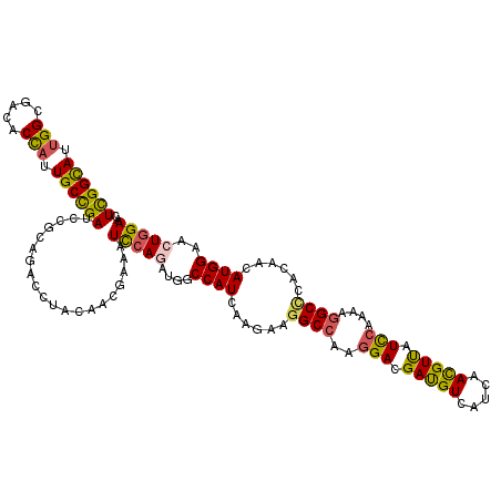 secondary structure