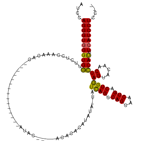 secondary structure