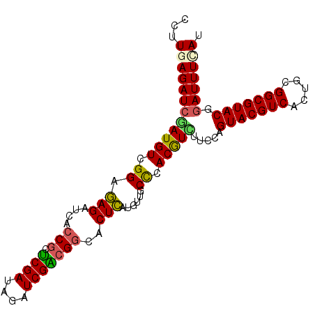 secondary structure