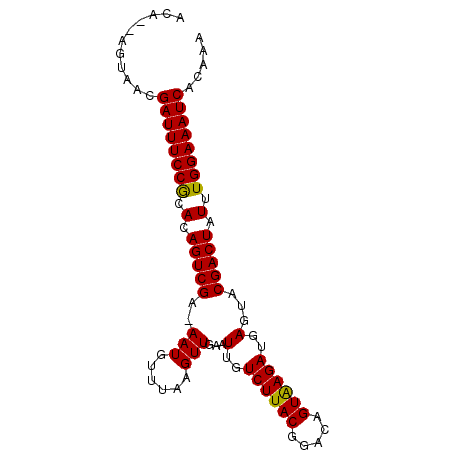secondary structure