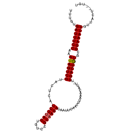 secondary structure