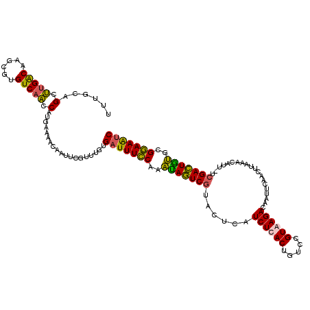 secondary structure