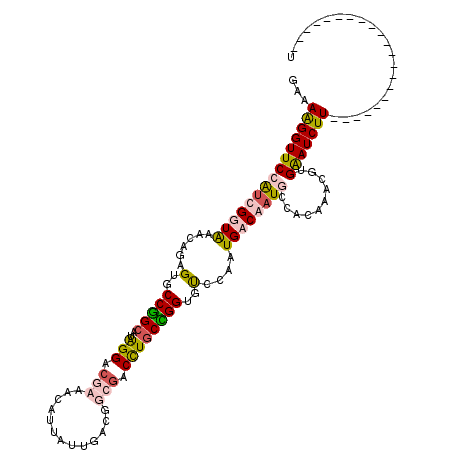 secondary structure
