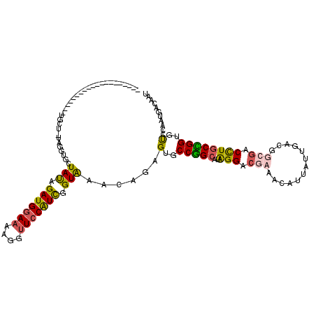 secondary structure