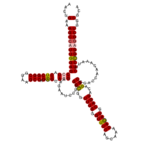 secondary structure
