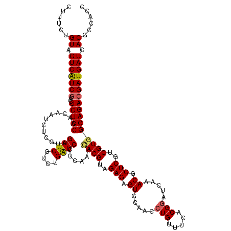 secondary structure