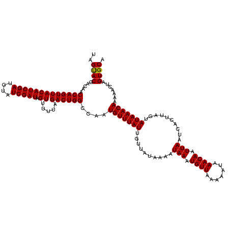 secondary structure