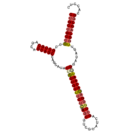 secondary structure