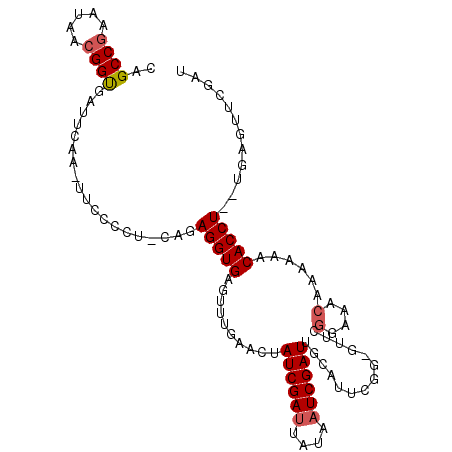 secondary structure