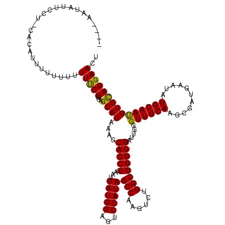 secondary structure