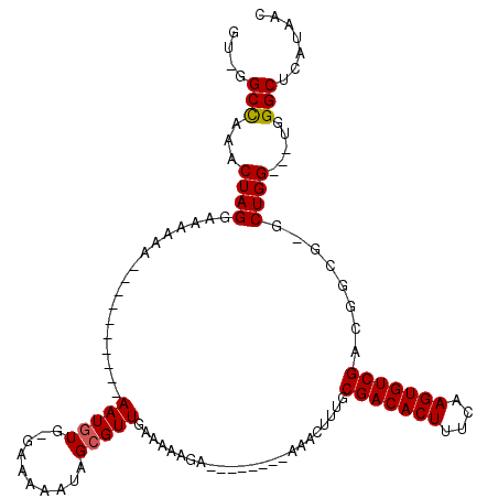 secondary structure