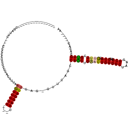 secondary structure