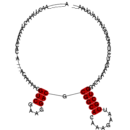 secondary structure